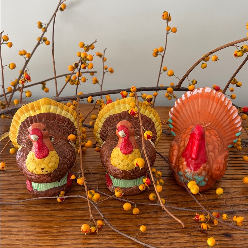 Turkey Bundle - Picture 3 of 14
